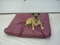 Custom-Dog-Bed-(2)